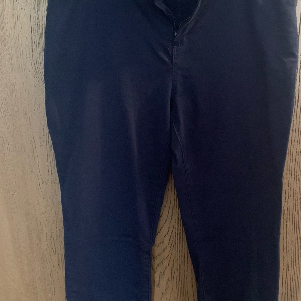 GAP Navy Blue Denim Pants - Picture 3 of 6